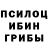 Псилоцибиновые грибы Psilocybine cubensis VinyEagleVR