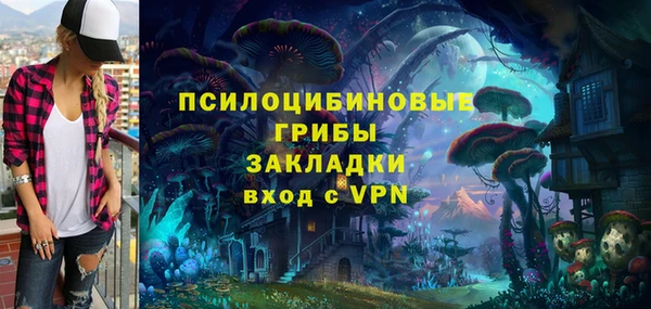 гидра Алексин