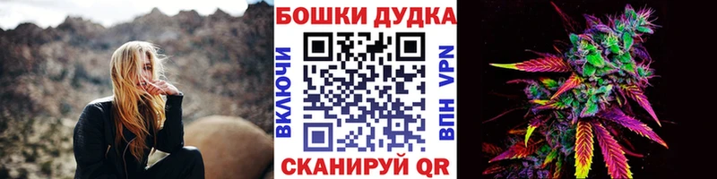 сколько стоит  Ленинск  Бошки Шишки гибрид 